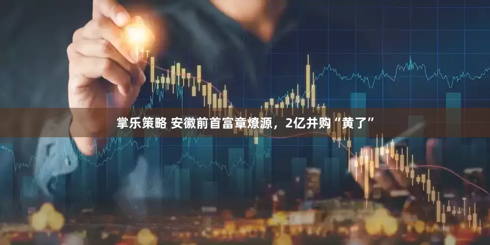 掌乐策略 安徽前首富章燎源，2亿并购“黄了”