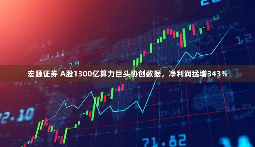 宏源证券 A股1300亿算力巨头协创数据，净利润猛增343%