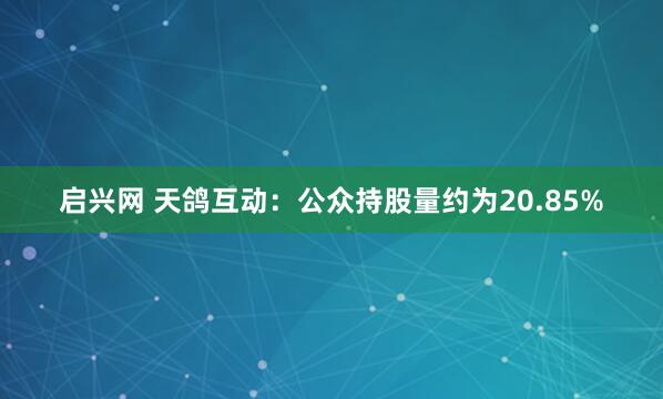 启兴网 天鸽互动：公众持股量约为20.85%